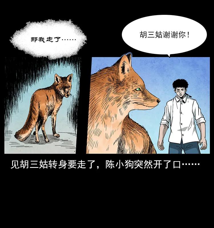 111 新的征程45