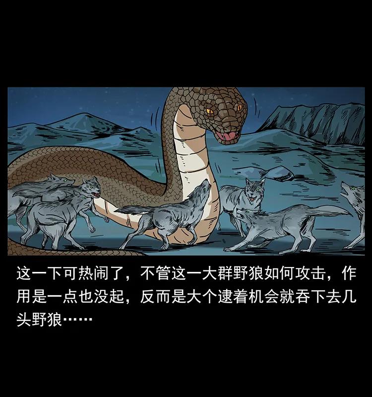 212 草原深处41