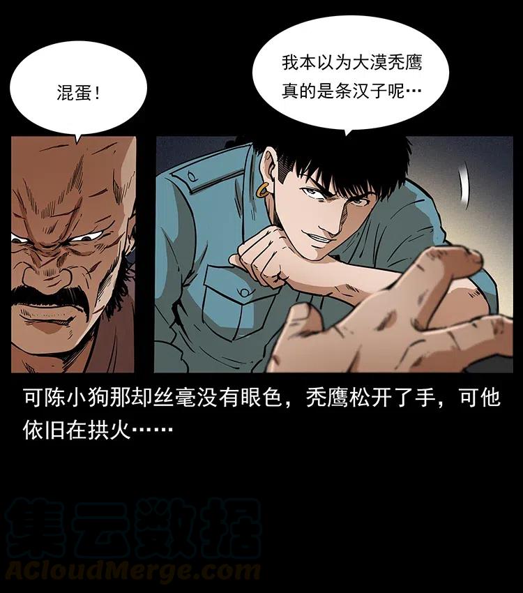 317 大漠凶兽36