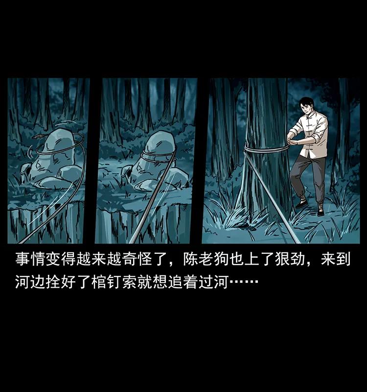 231 东海木龙33