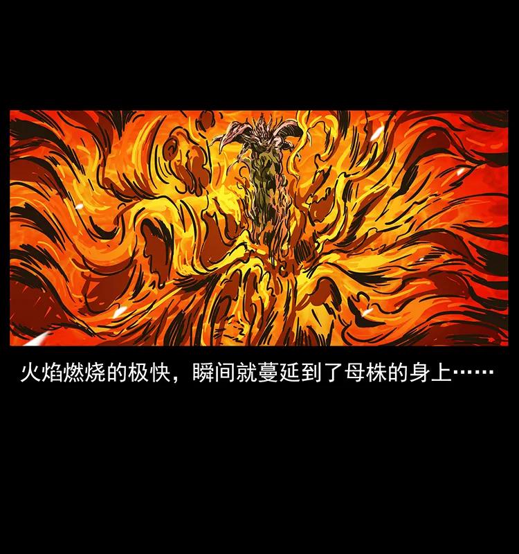 236 神秘的小岛69