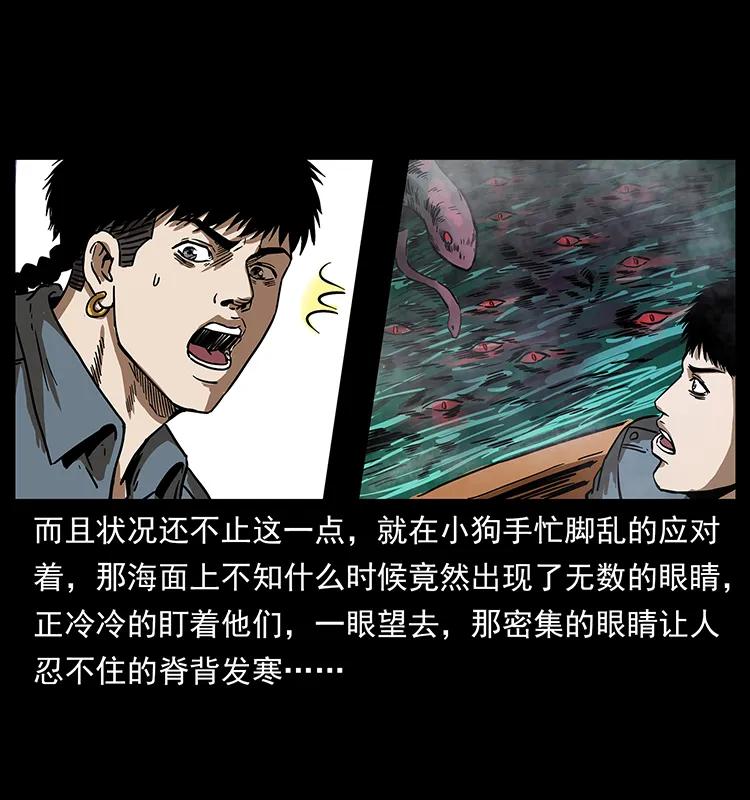 242 陈小狗失算了29