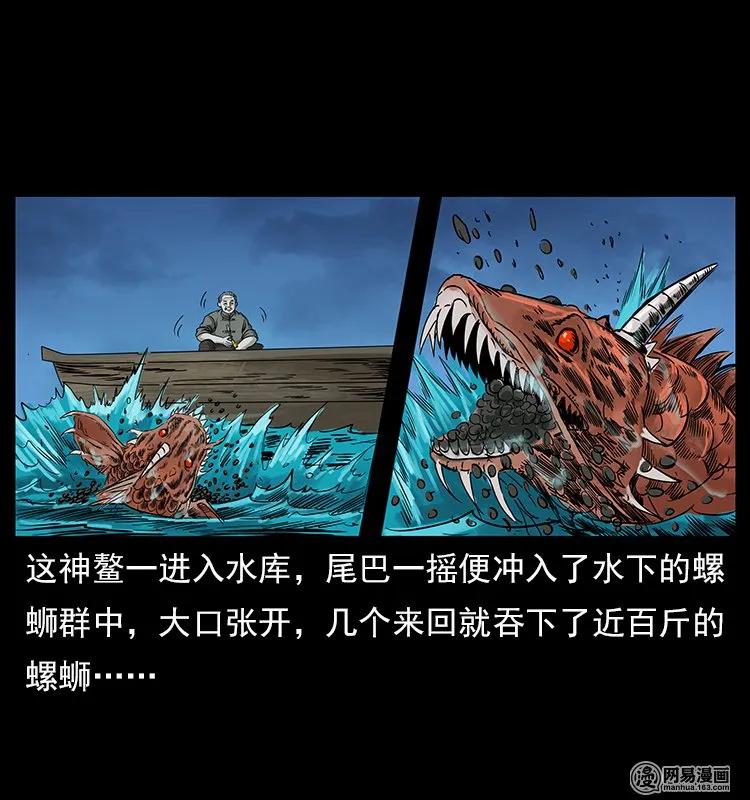 121 螺蛳37