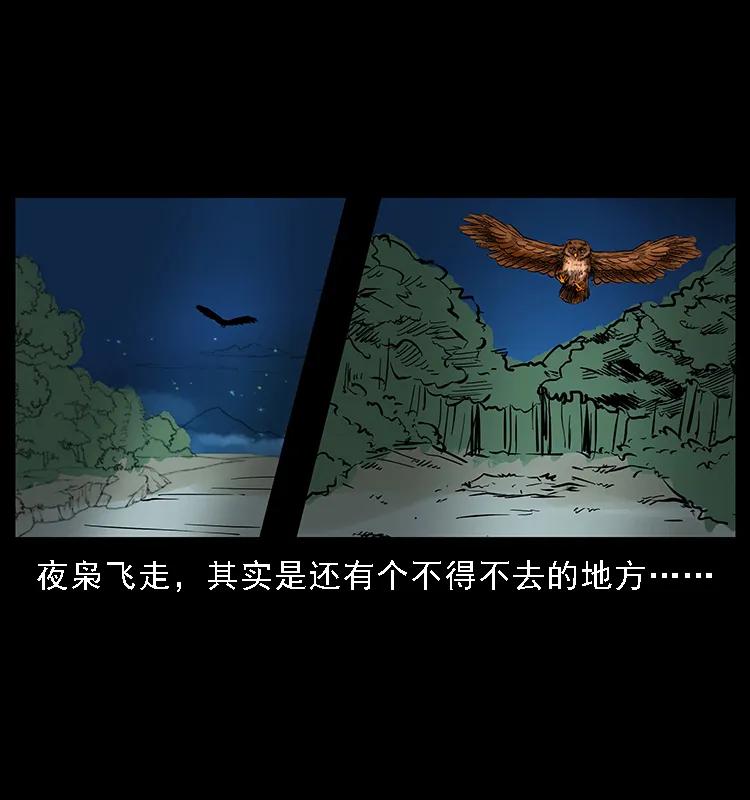 088 勾魂鸟夜枭87