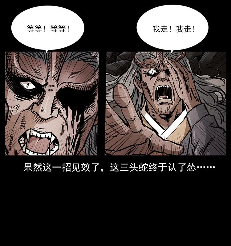 277 三头蛇18