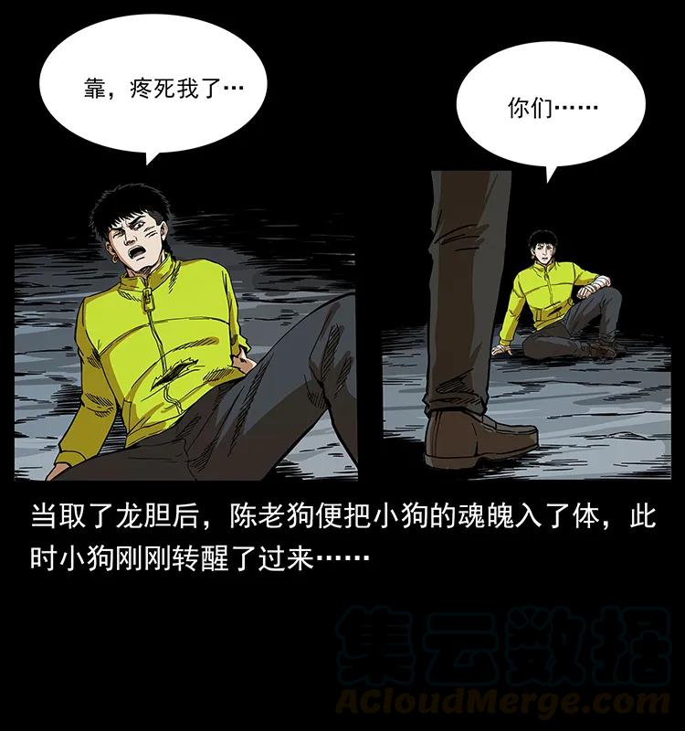202 龙胆52