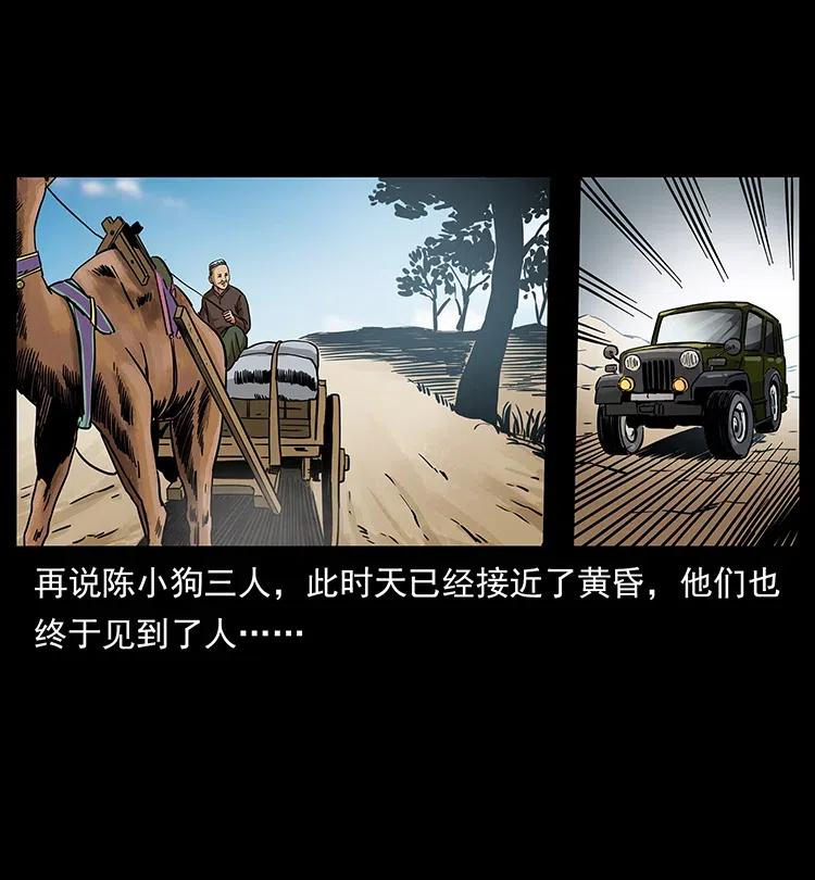 316 大漠归客18