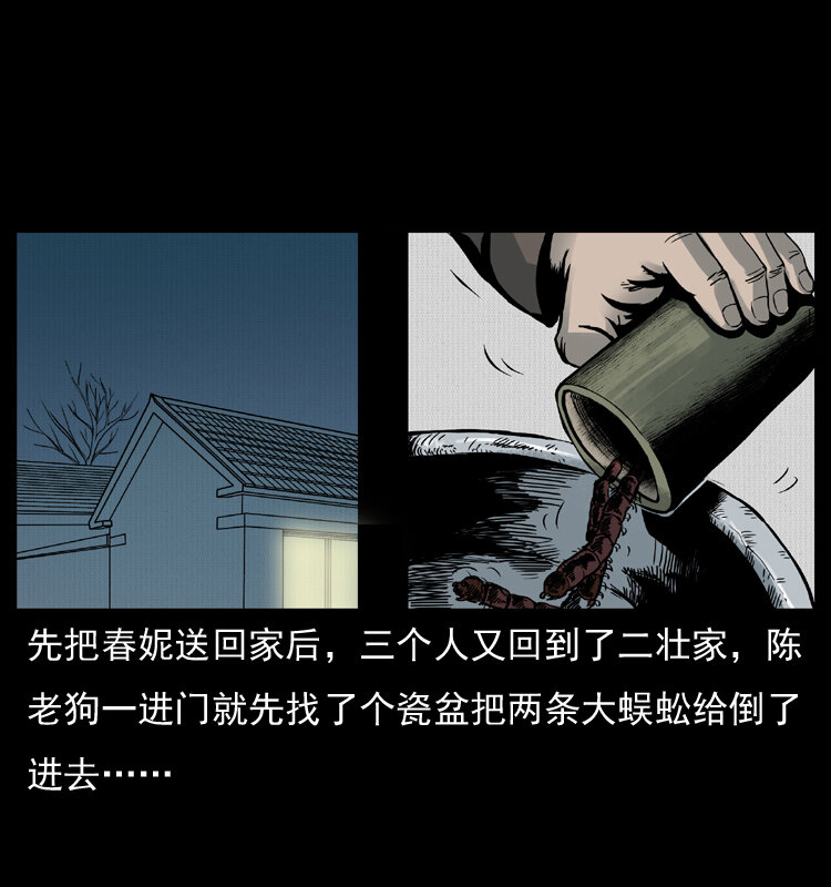 006 棺材菇52