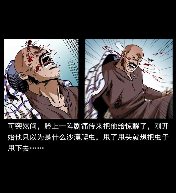 317 大漠凶兽13