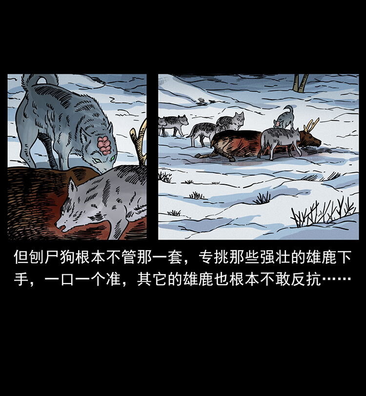 470 前辈的足迹19