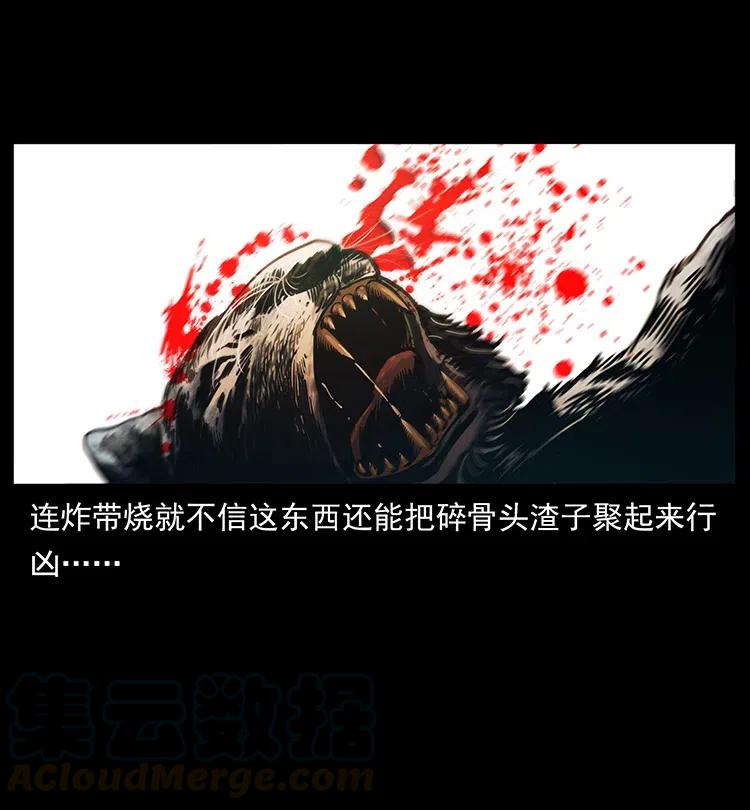 342 白毛僵尸68
