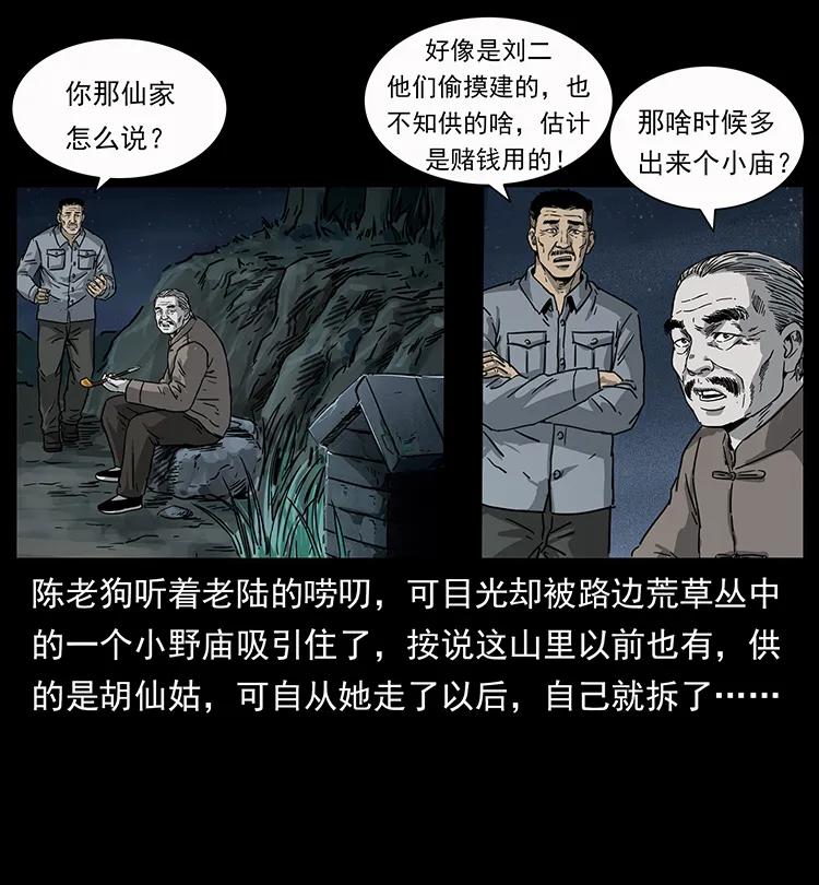 250 走失41