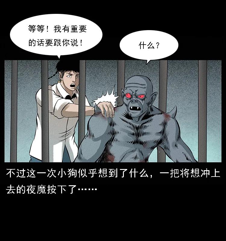 095 无害的杀手67