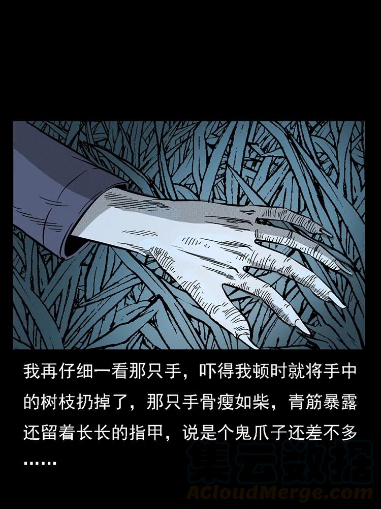 番外2 之保家白仙16