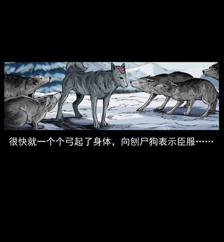 469 冻土的世界79