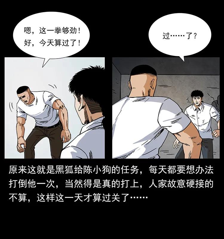 206 不断成长的陈小狗34