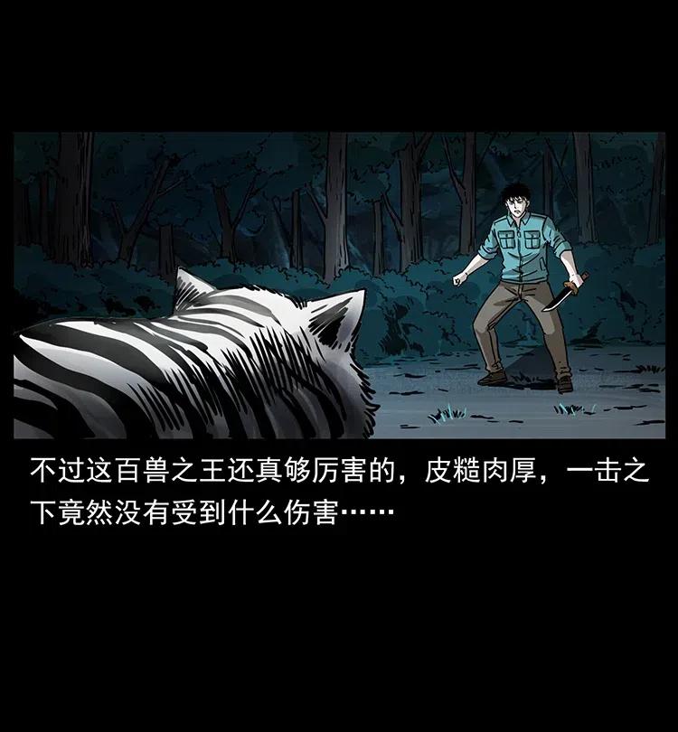 342 白毛僵尸29