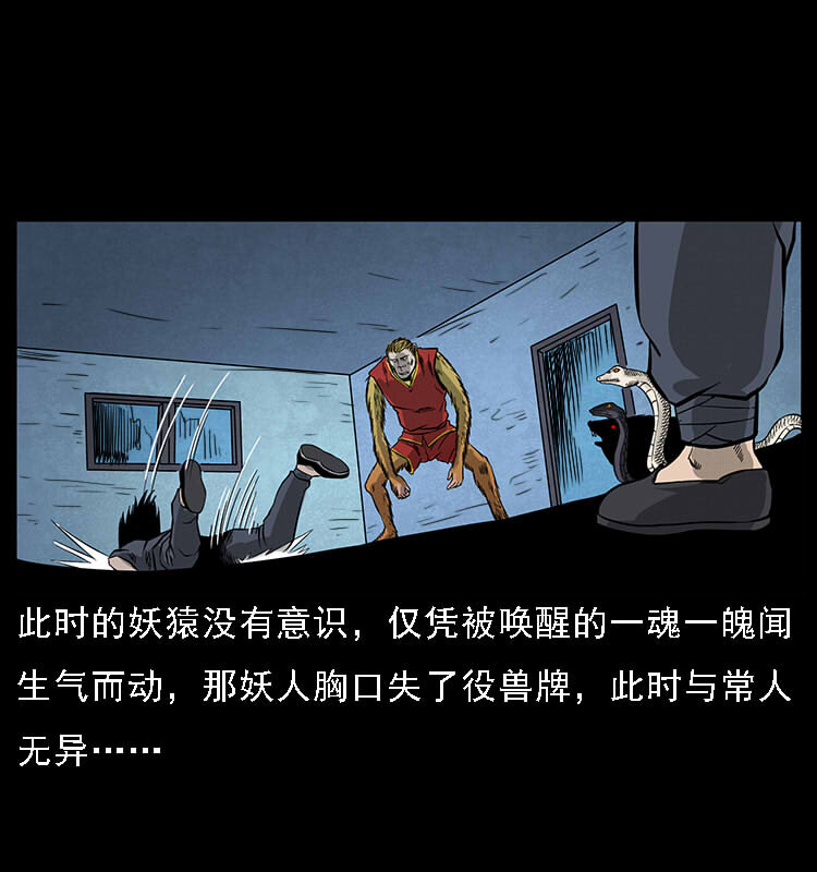 064 役兽妖人64