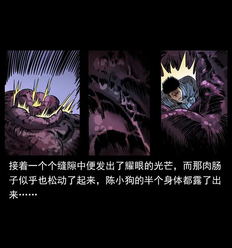 242 陈小狗失算了42