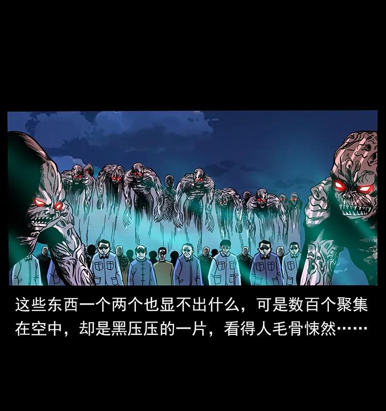 179 龙家的实力13