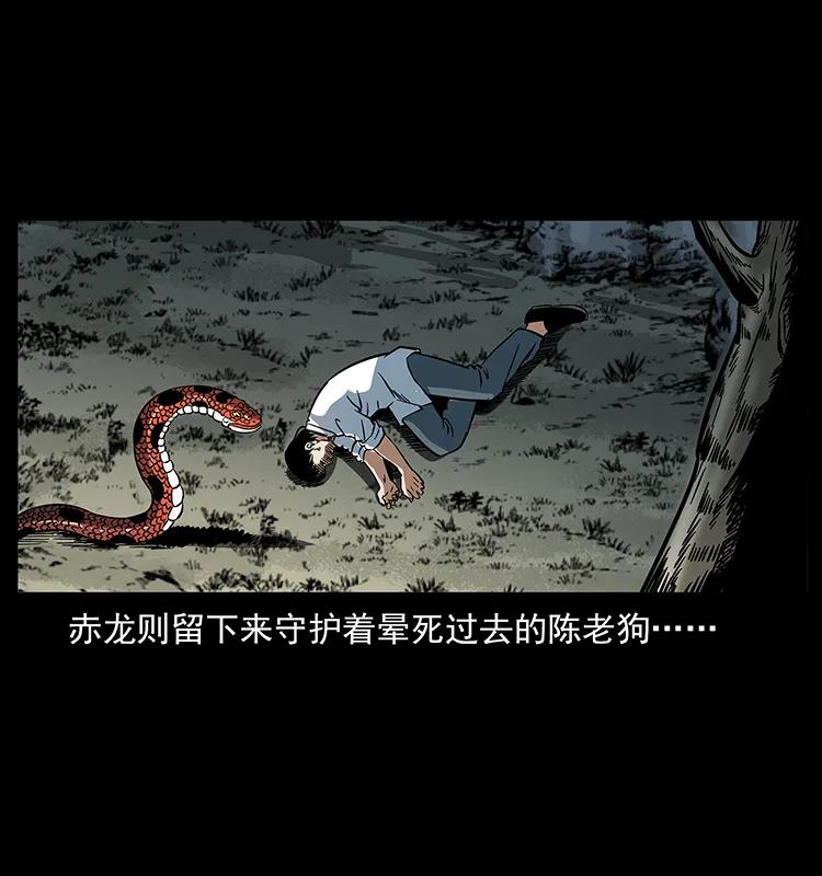 167 陈老狗遇险45