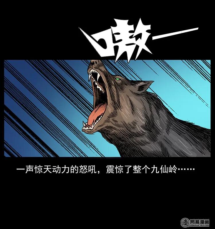 142 黑狐26
