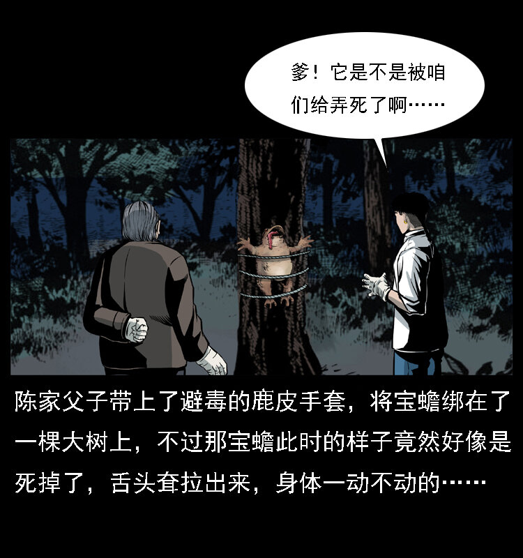 024 聚宝蟾36