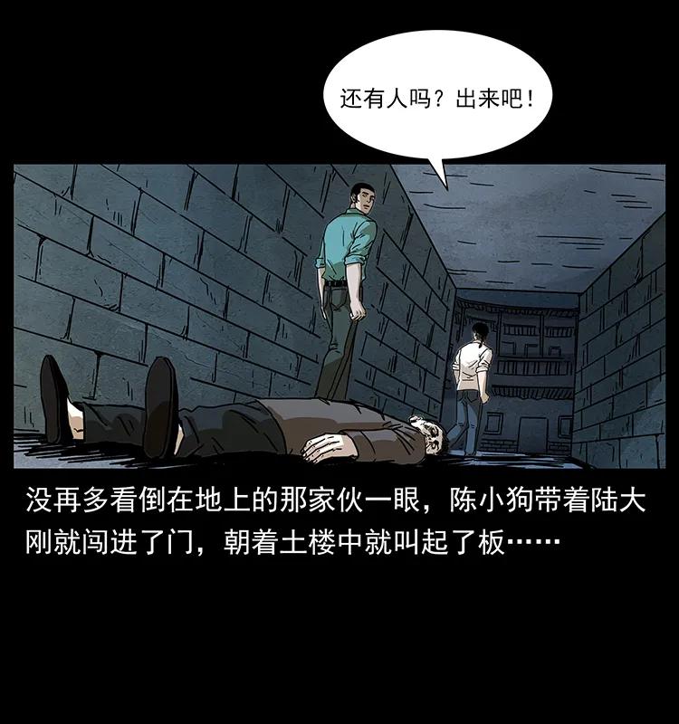 234 养鬼人的地盘30