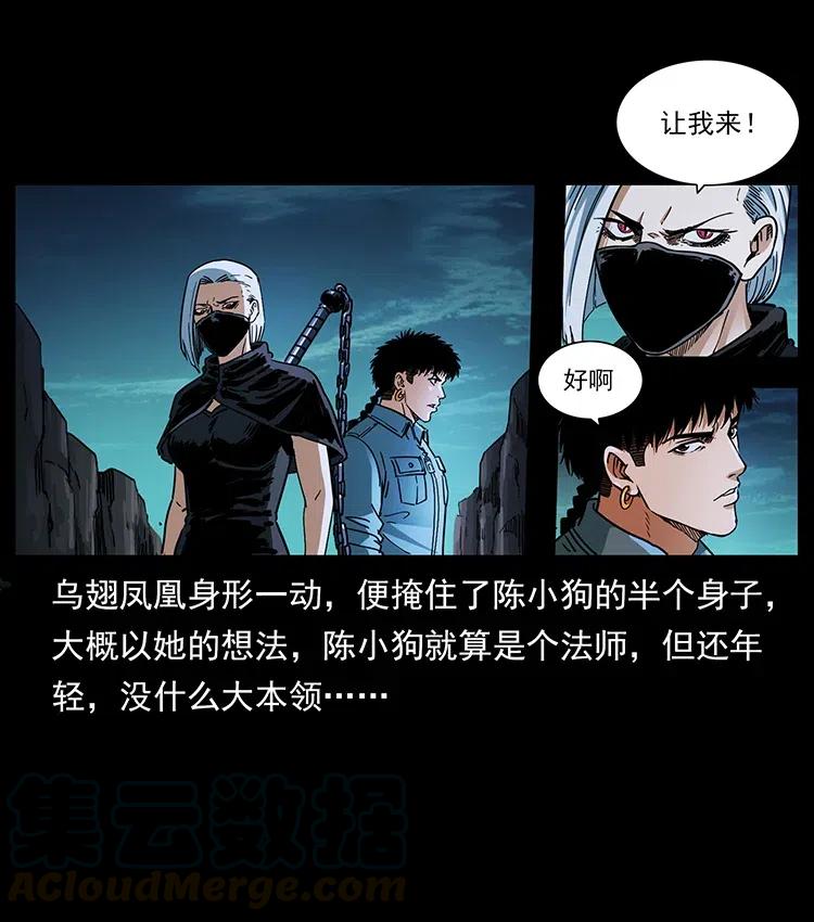 370 乌翅凤凰78