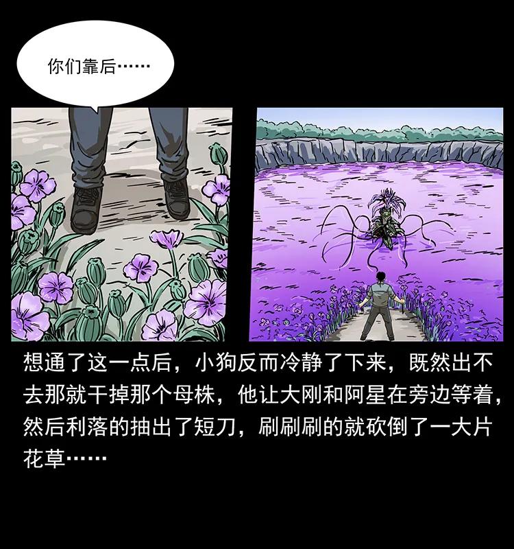236 神秘的小岛63