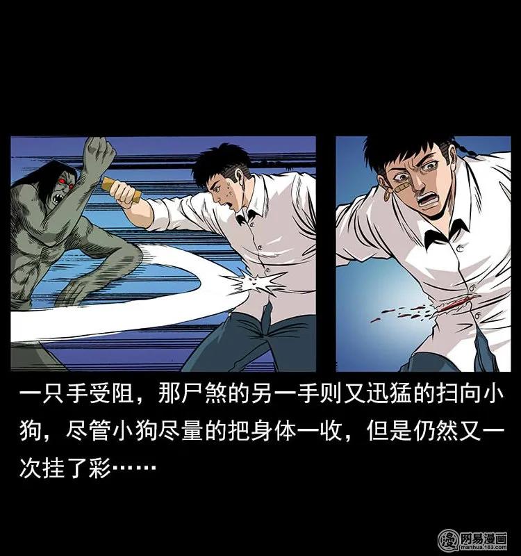 118 天宝仙牌29