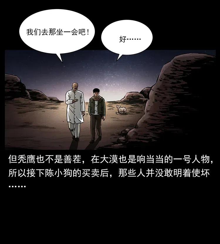 318 沙漠秃鹰26