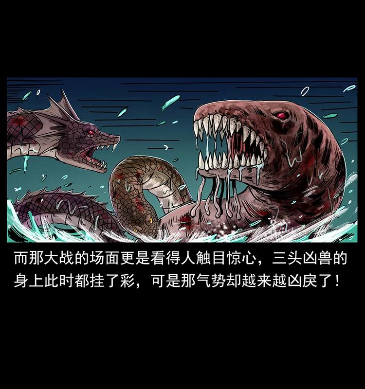 244 神迹13