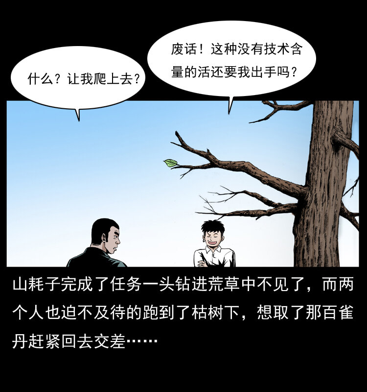 036 百雀丹（上）33