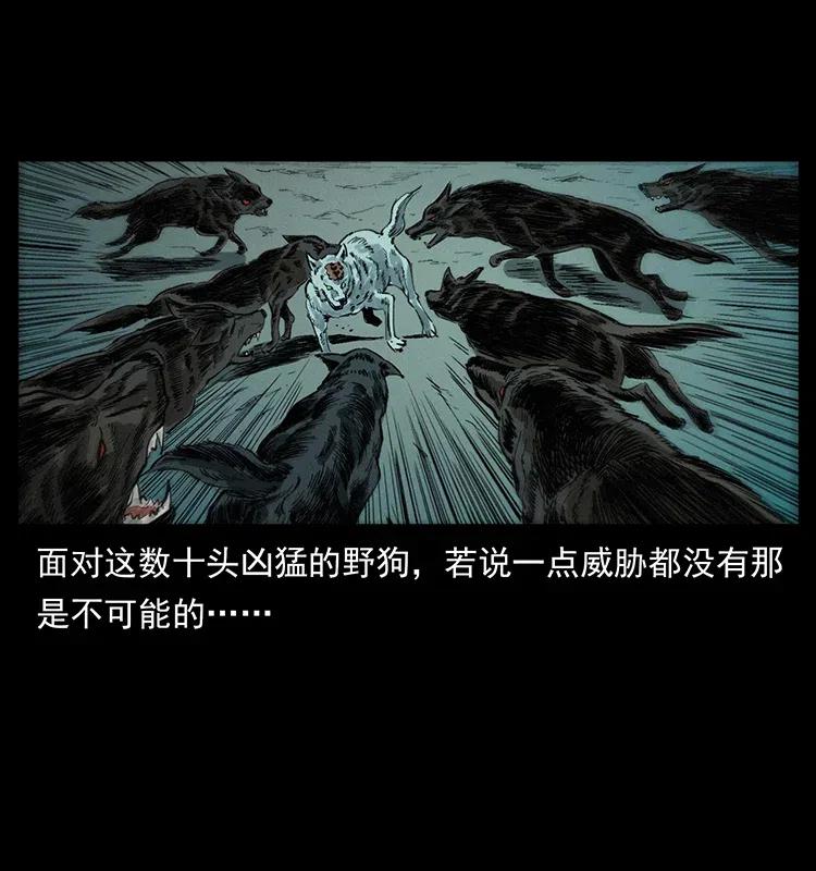 344 刨尸狗&amp;amp;amp;大冥皇21