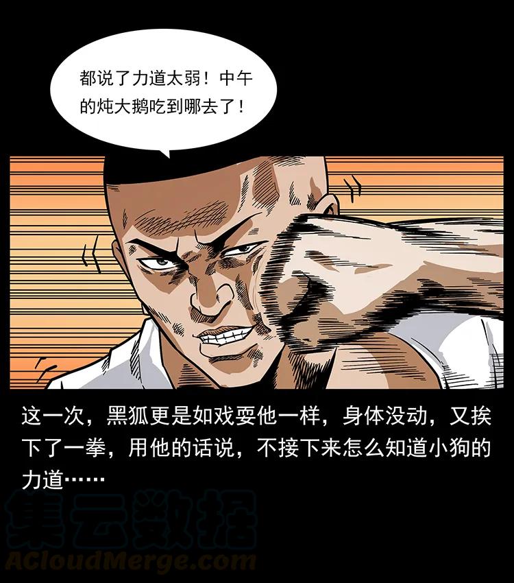 206 不断成长的陈小狗24