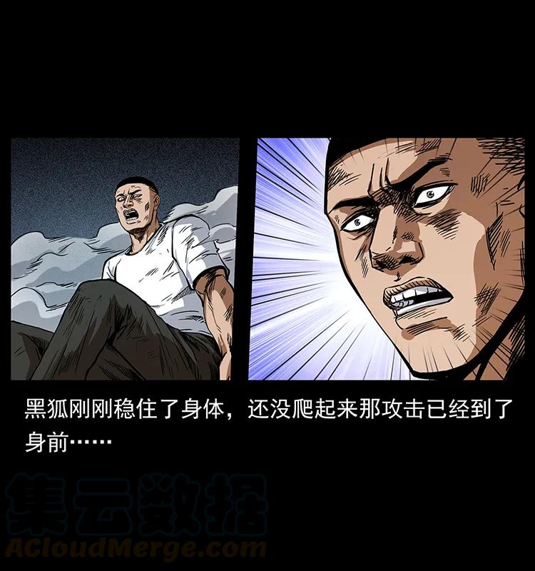 199 黑狐不好惹28