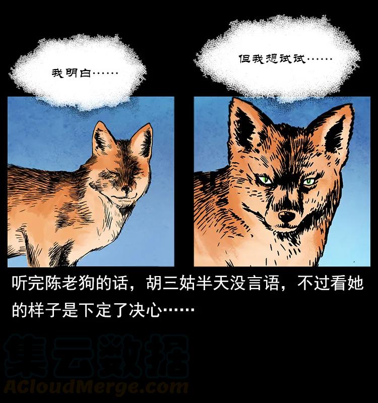 111 新的征程40