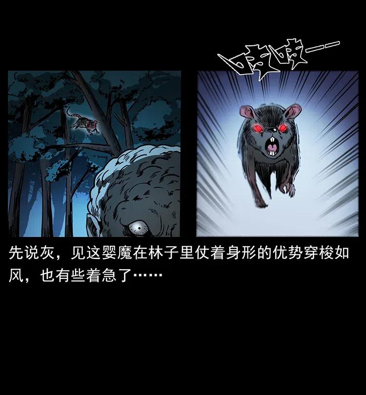 360 婴魔44