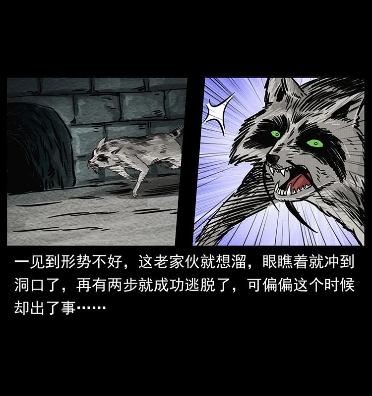 252 危机！危机81