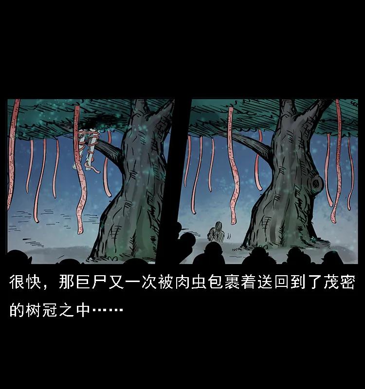 082 鬼桃树46