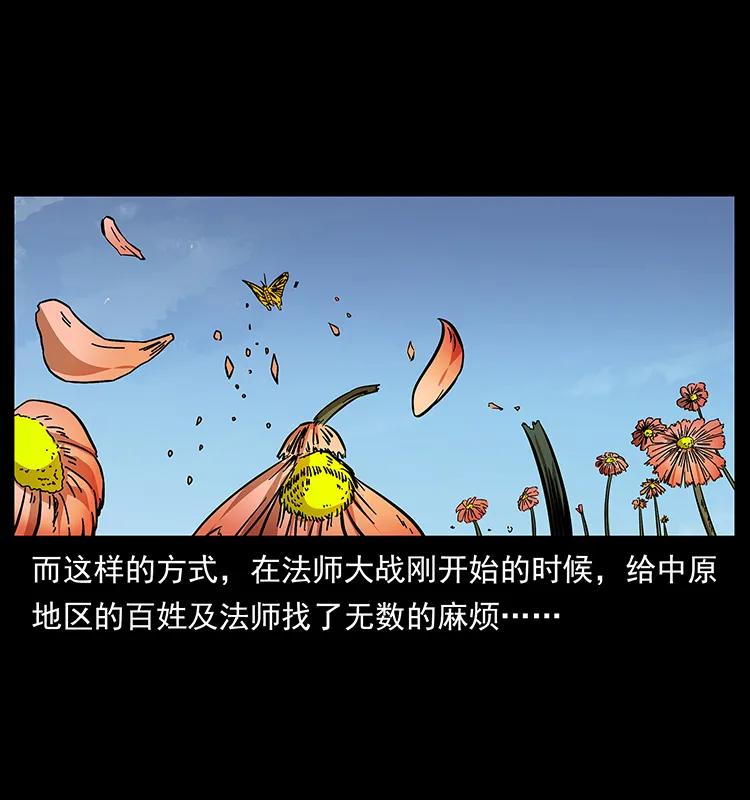 161 虫佛7