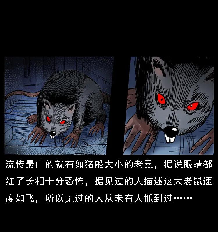 086 冷寒宫冤魂10
