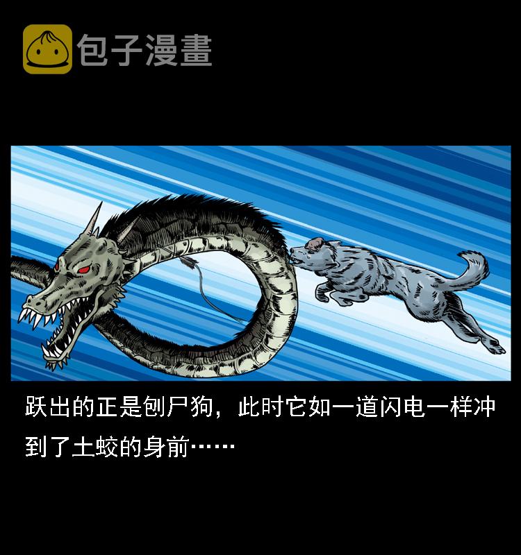 029 斗土蛟45