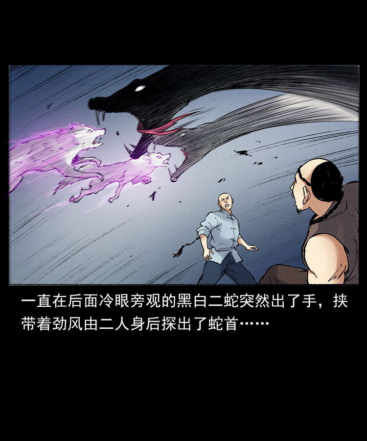 外传 洛生传7 黑白双蛇68