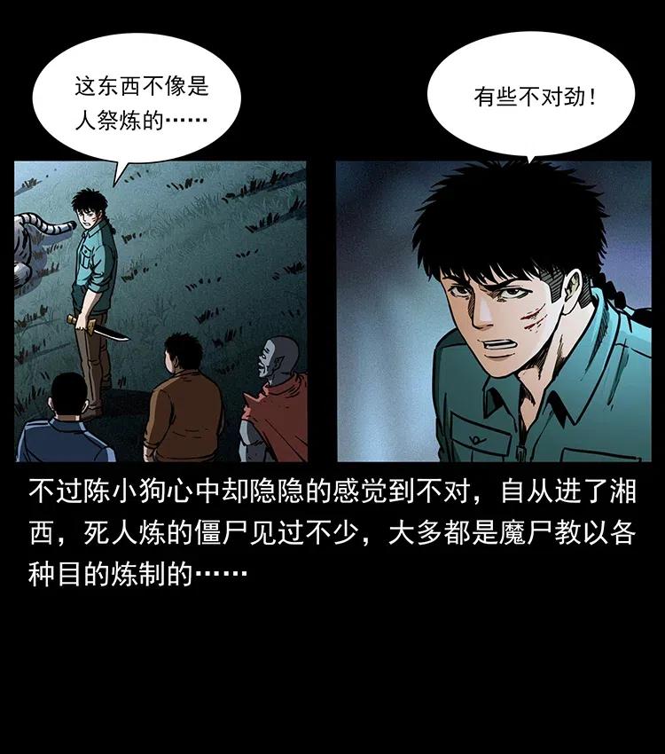 342 白毛僵尸55