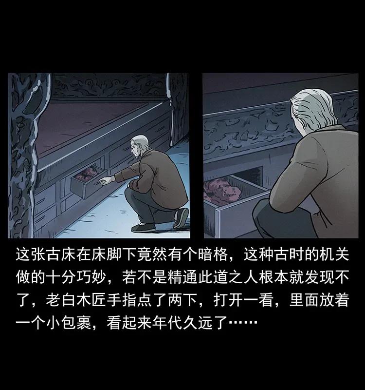 306 怨鬼？精怪？10