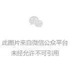 505 诸神黄昏（1）16