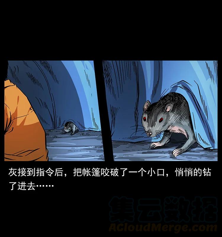174 无间道36
