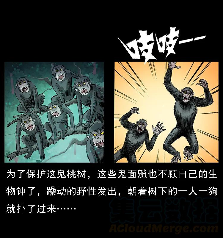 082 鬼桃树76